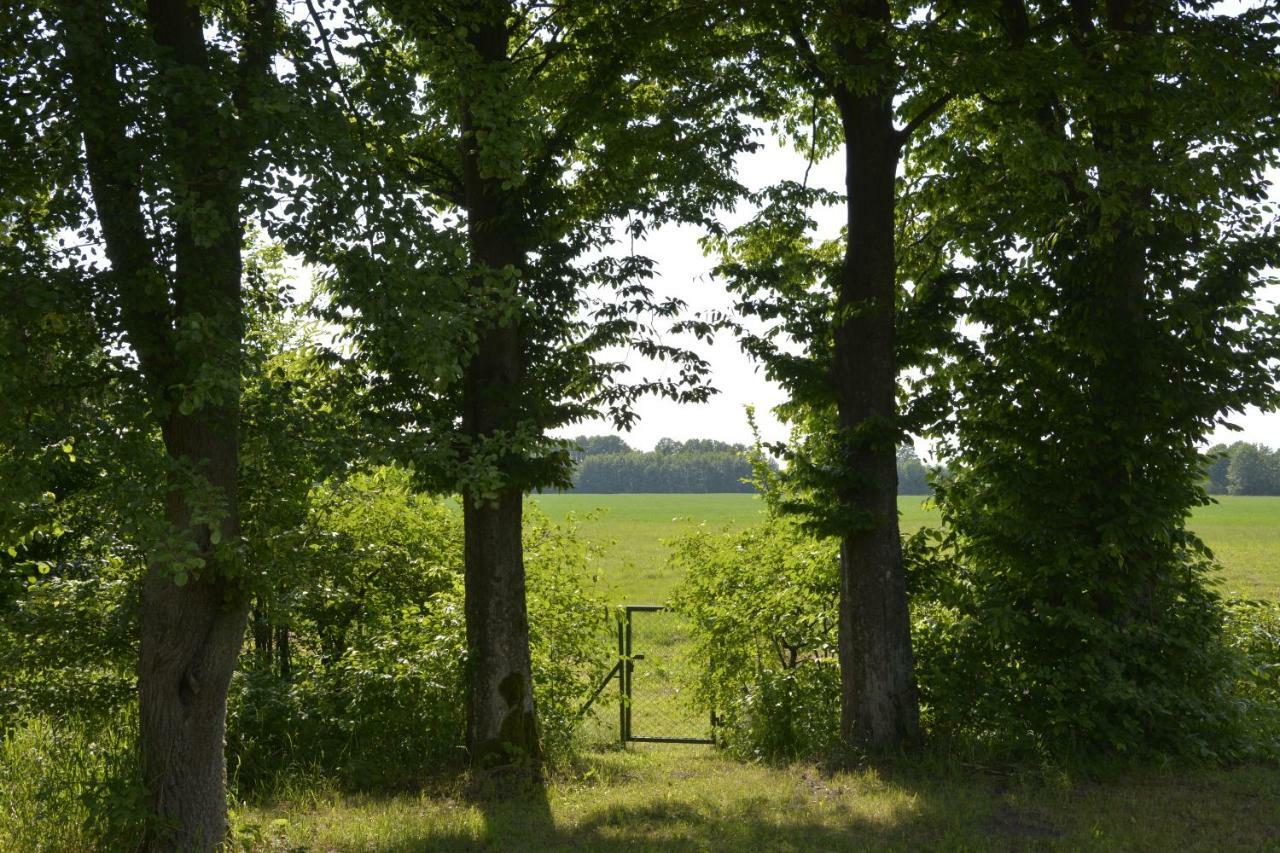 Mamrowisko Vila Węgorzewo Exterior foto